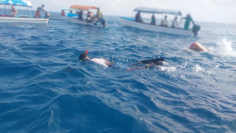 Zanzibar: Mnemba Island Snorkeling and Dolphin Tour - Who this tour fits best, and who should skip it
