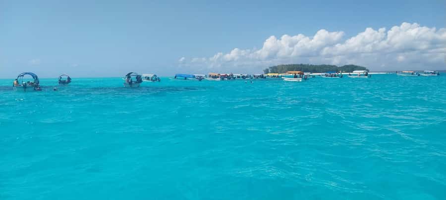 Zanzibar: Mnemba Island Snorkeling & Dolphin - What Dolphin Watching Feels Like When You Have A Safety Brief