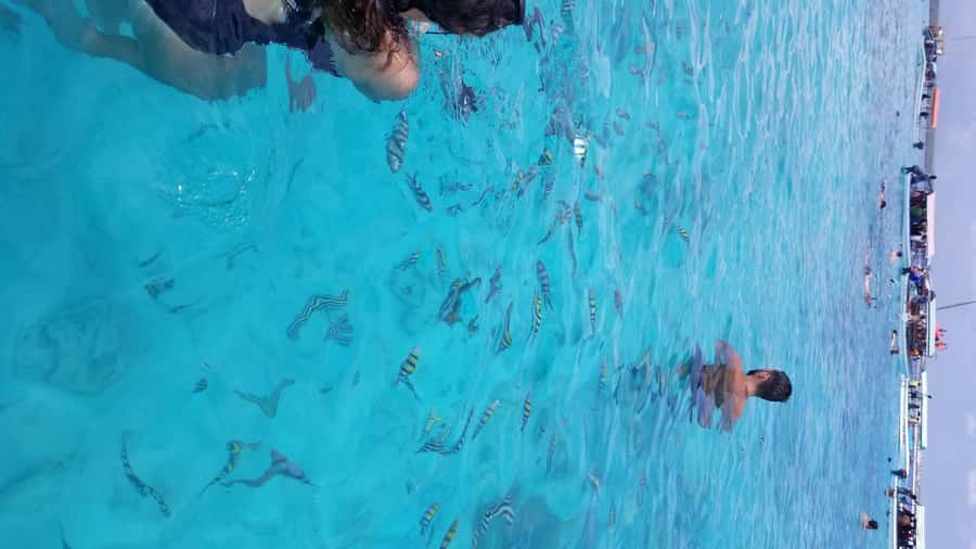 Zanzibar: Mnemba Island Snorkeling & Dolphin - The Sandbank Stop: Photos, Views, And A Small Reset