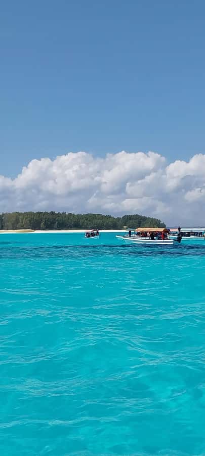 Zanzibar: Mnemba Island Snorkeling & Dolphin - What To Bring, What To Avoid, And The Seasickness Reality
