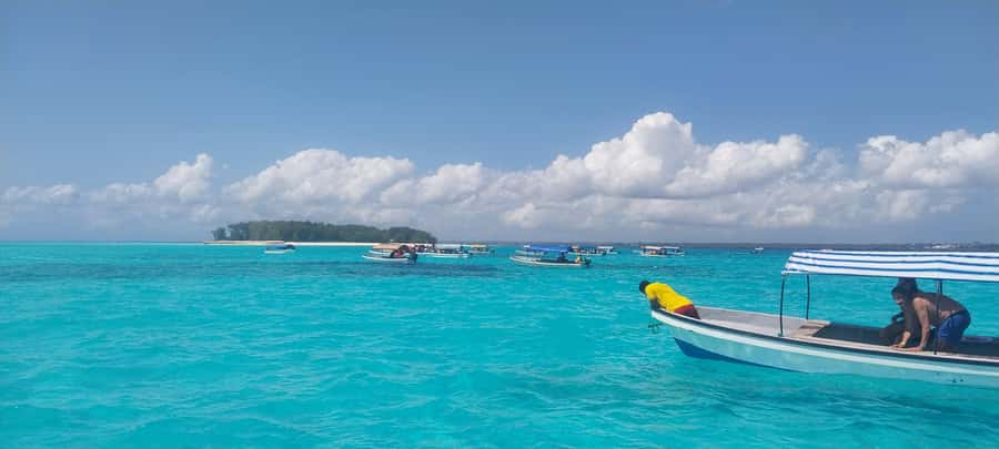 Zanzibar: Mnemba Island Snorkeling & Dolphin - Who This Trip Is Best For