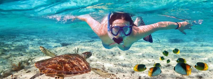 Zanzibar Mnemba island snorkling & swim with turtles Tour - First, the Reef: What Mnemba Island Snorkeling Feels Like