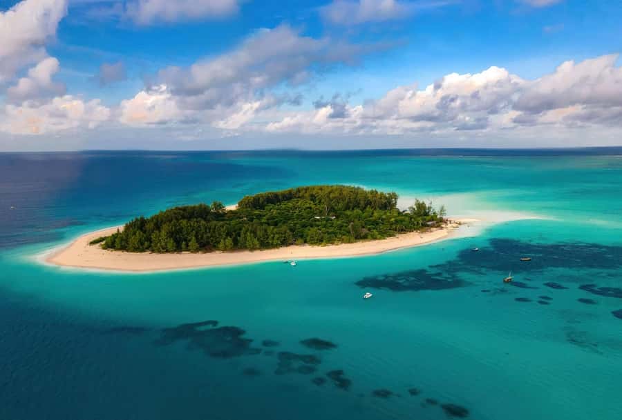 Zanzibar Mnemba island snorkling & swim with turtles Tour - Then It’s Turtles: The Nungwi Sanctuary Swim and Why It Matters