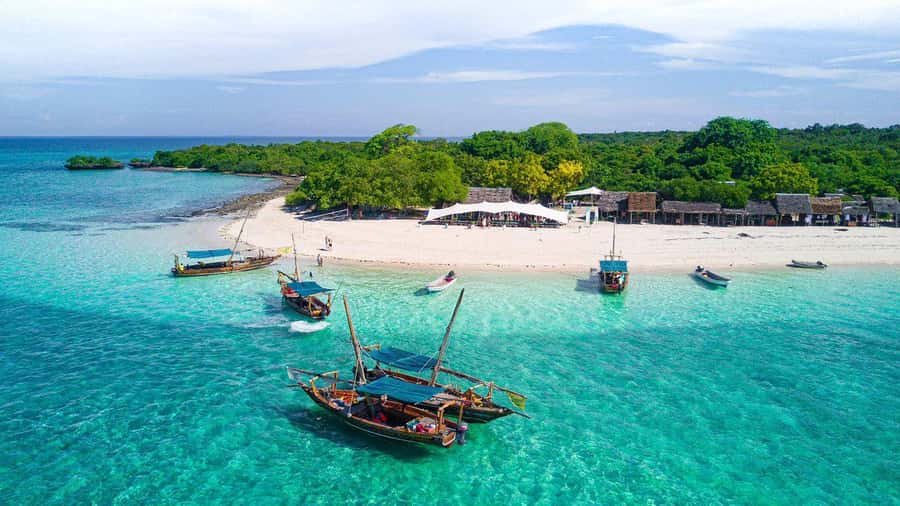 Zanzibar Mnemba island snorkling & swim with turtles Tour - What’s Included for $60, and Where You’ll Feel the Value