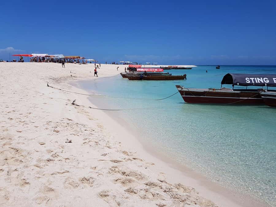 Zanzibar: Nakupenda Sandbank and Prison Island Tour & Lunch - Why this combo tour works in one long day