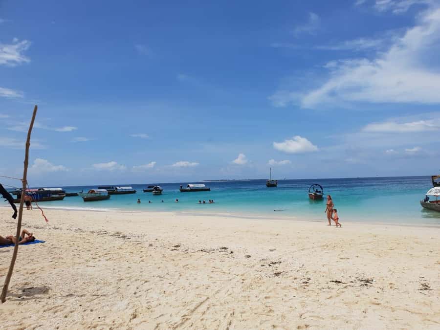 Zanzibar: Nakupenda Sandbank and Prison Island Tour & Lunch - Giant Aldabra tortoises: the moment you will remember