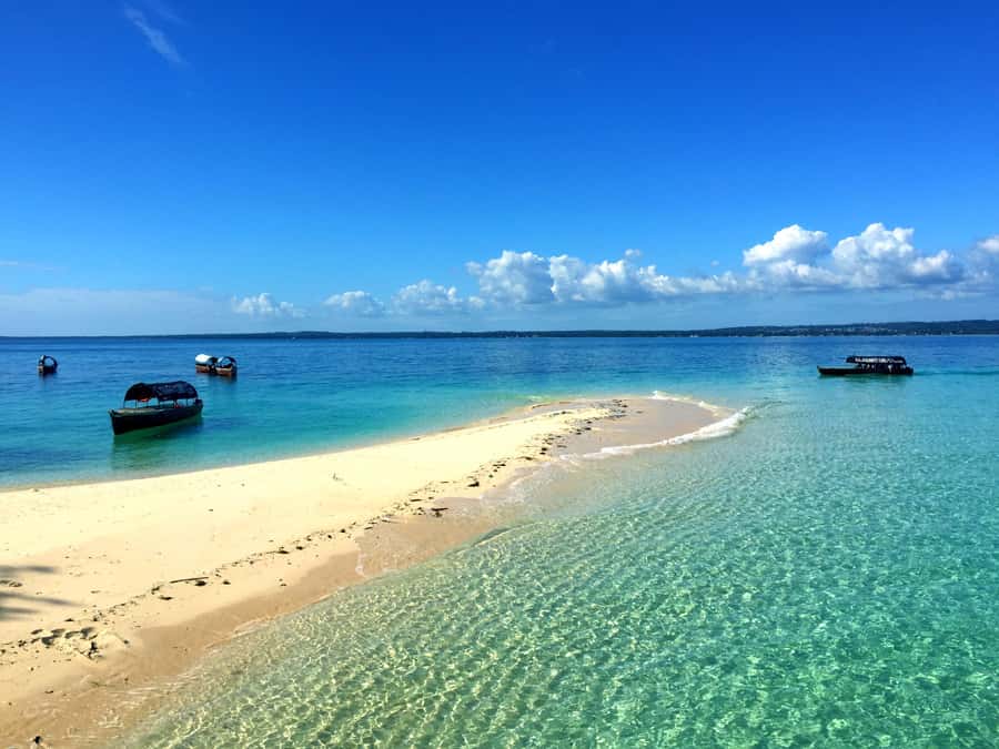 Zanzibar: Nakupenda Sandbank and Prison Island Tour & Lunch - Stone Town boat ride, then straight to Prison Island
