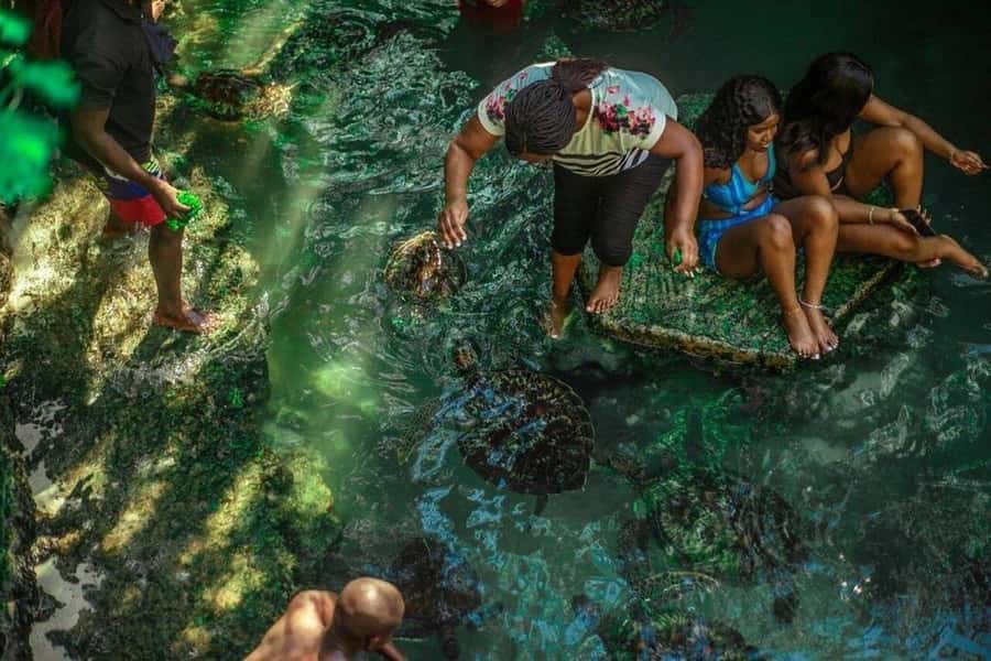 Zanzibar Nature Combo: Salaam Cave Swim & Jozani Forest Tour - Timing in a 5-Hour Day: How to Plan Your Morning
