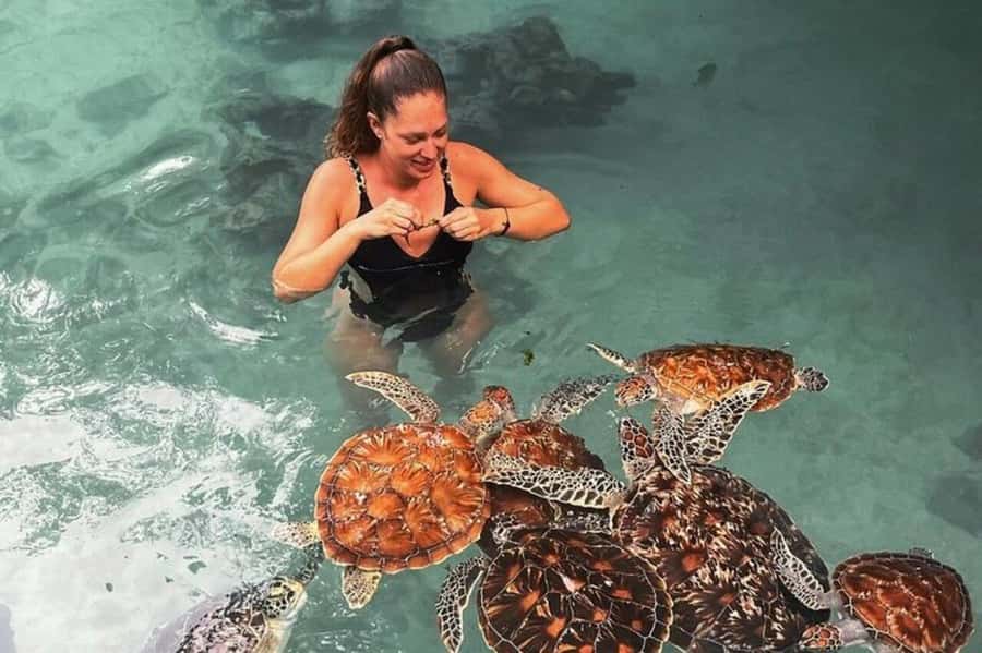 Zanzibar Nature Combo: Salaam Cave Swim & Jozani Forest Tour - What to Bring for Jozani and Salaam Cave
