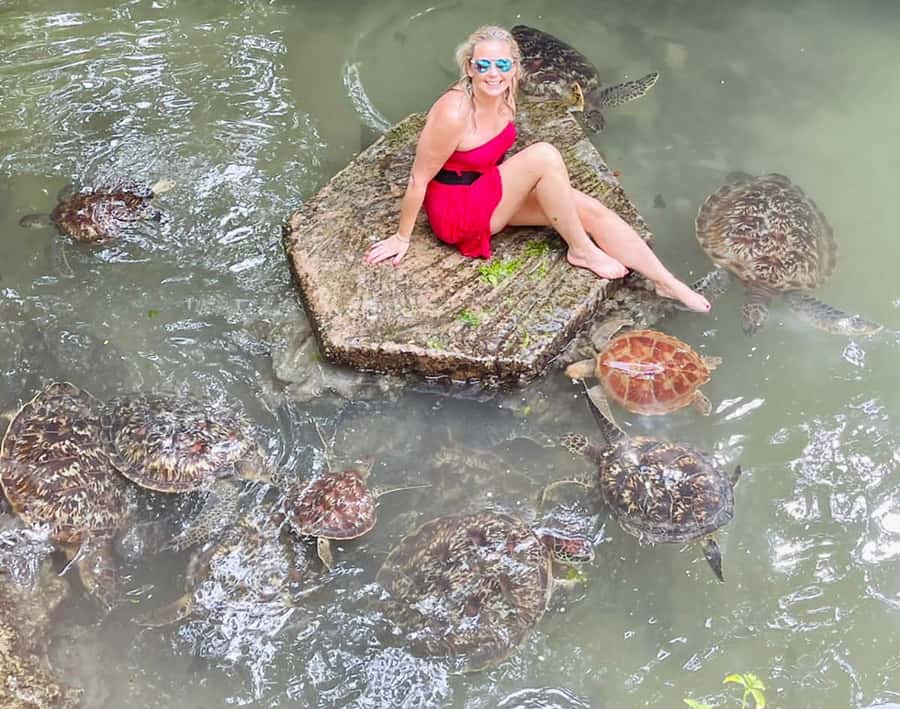 Zanzibar: North Coast and Turtle Sanctuary Tour - Key highlights that make this tour worth your time