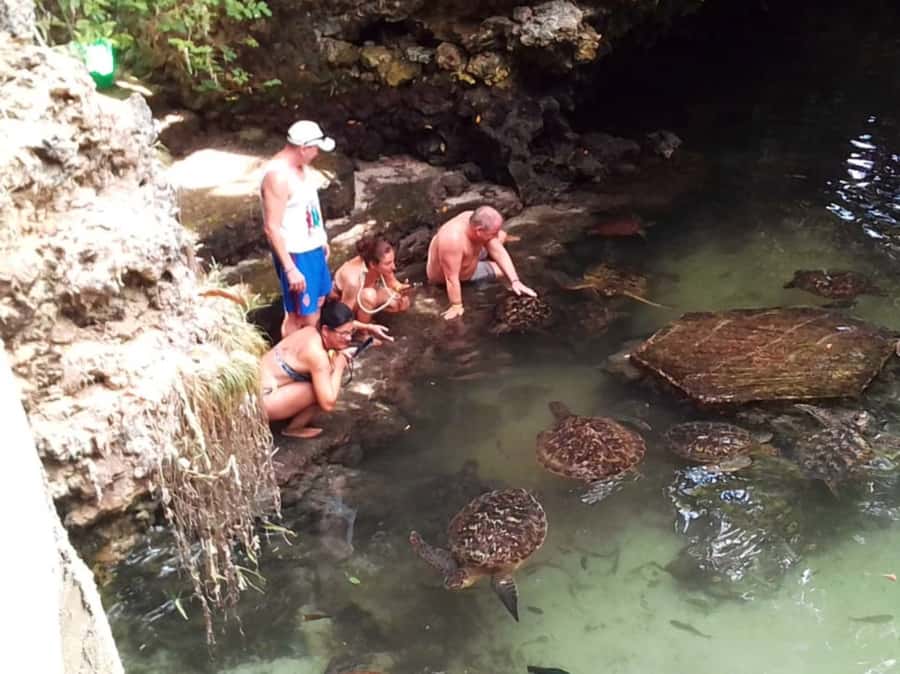 Zanzibar: North Coast and Turtle Sanctuary Tour - Why Nungwi is the smart starting point on Zanzibar’s north coast