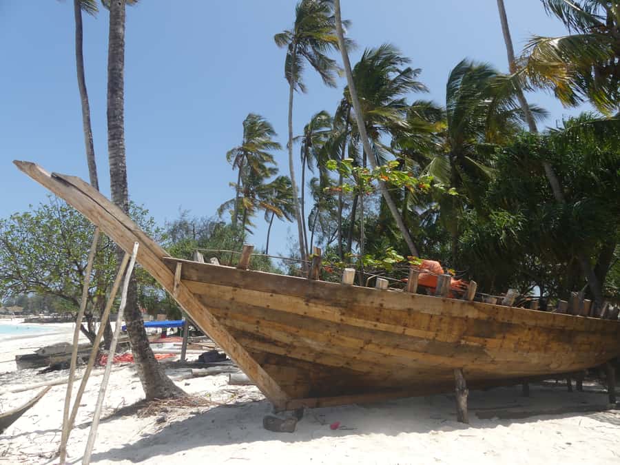 Zanzibar: North Coast and Turtle Sanctuary Tour - Watching dhow boat making in Nungwi, not just hearing about it