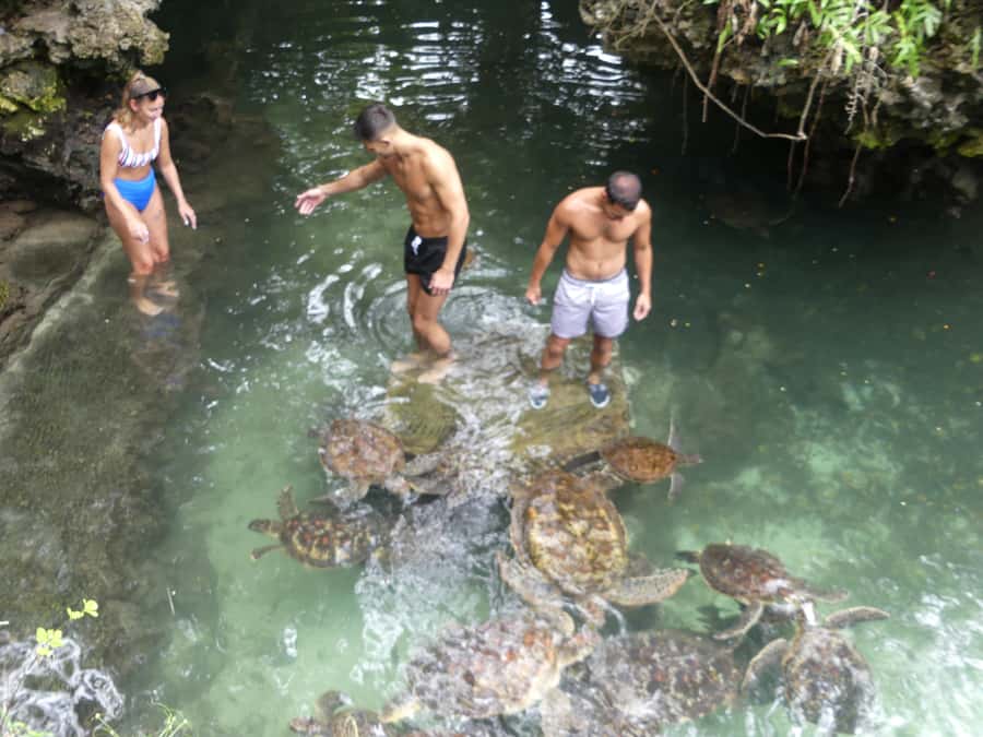 Zanzibar: North Coast and Turtle Sanctuary Tour - Beach time on the north coast, with tide-friendly expectations