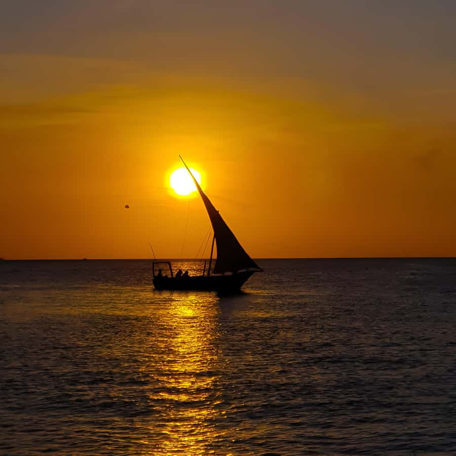 Zanzibar: Nungwi and Kendwa Sunset Dhow Cruise - Who should book this cruise, and who should skip it