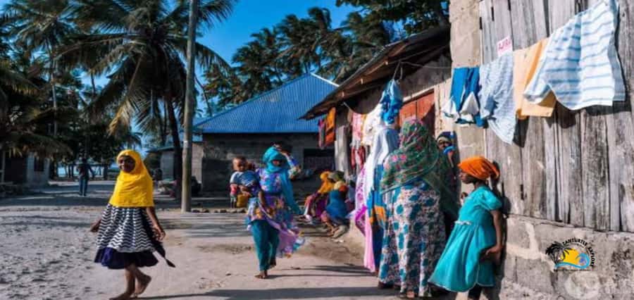 Zanzibar: Nungwi Cultural Village Tour and Swim Turtles - The Nungwi Market Stop: Spices, Produce, and What to Photograph