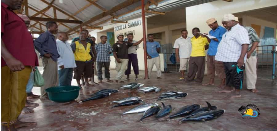 Zanzibar: Nungwi Cultural Village Tour and Swim Turtles - Fishing Industry History and Local Customs You Can Actually Use