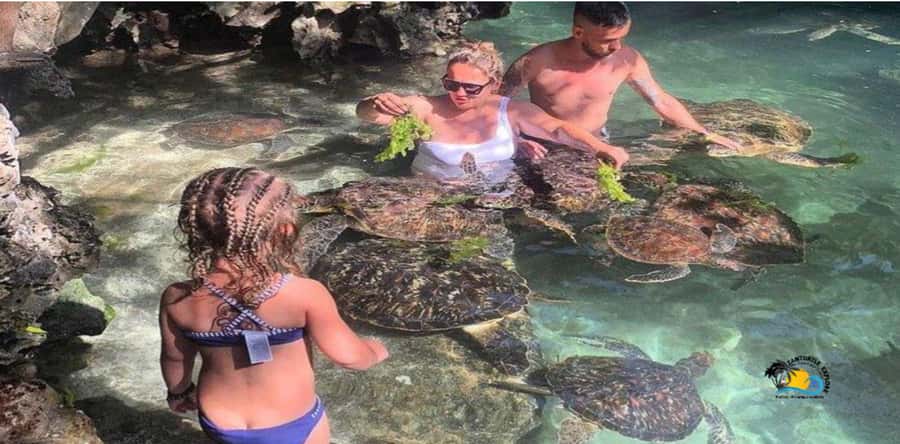 Zanzibar: Nungwi Cultural Village Tour and Swim Turtles - Traditional Homes and Ukili Crafts (Where Daily Work Becomes the Lesson)