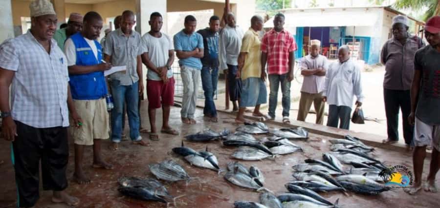Zanzibar: Nungwi Cultural Village Tour & Sunset Dhow Cruise - Nungwi Cultural Village Tour: What You’ll See and Why It Matters