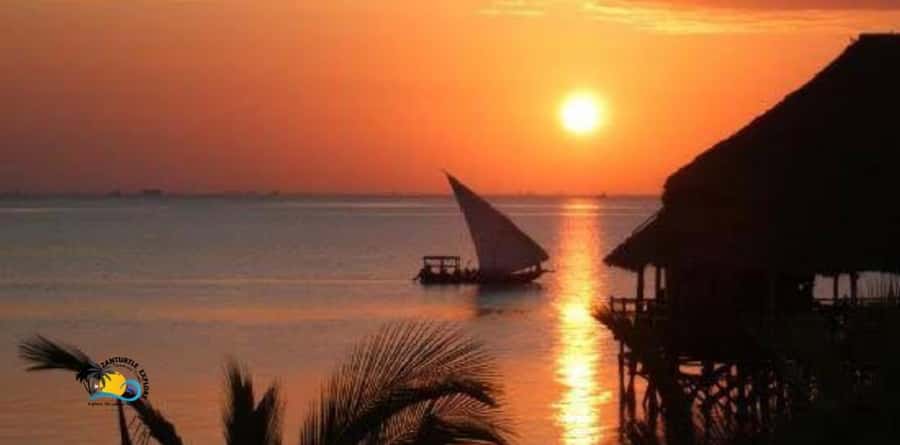 Zanzibar: Nungwi Cultural Village Tour & Sunset Dhow Cruise - What a Typical Day Feels Like, From Village to Ocean