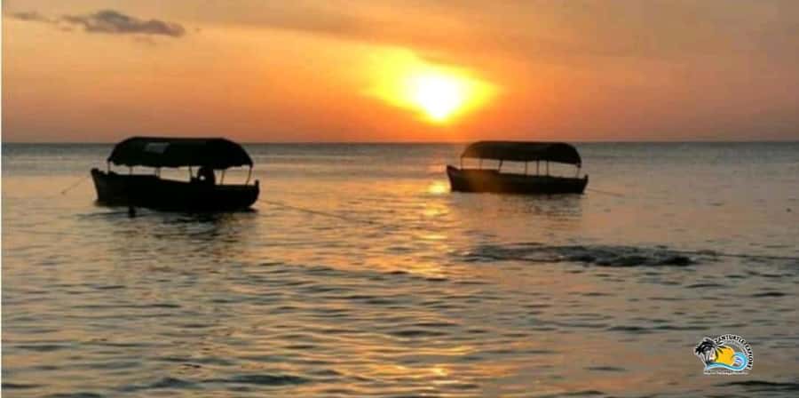Zanzibar: Nungwi/Kendwa Beach Sunset Dhow Cruise with Fruits - Why the Nungwi to Kendwa Sunset Cruise Feels Like an Actual Evening