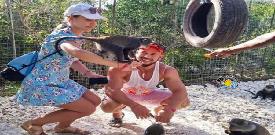 Zanzibar: Nungwi Kilosa Zoo Conservation Tour - Why Kilosas Conservation Center feels different in Nungwi