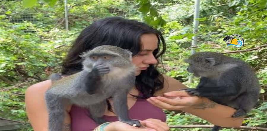 Zanzibar: Nungwi Kilosa Zoo Conservation Tour - What your guided tour covers inside the center