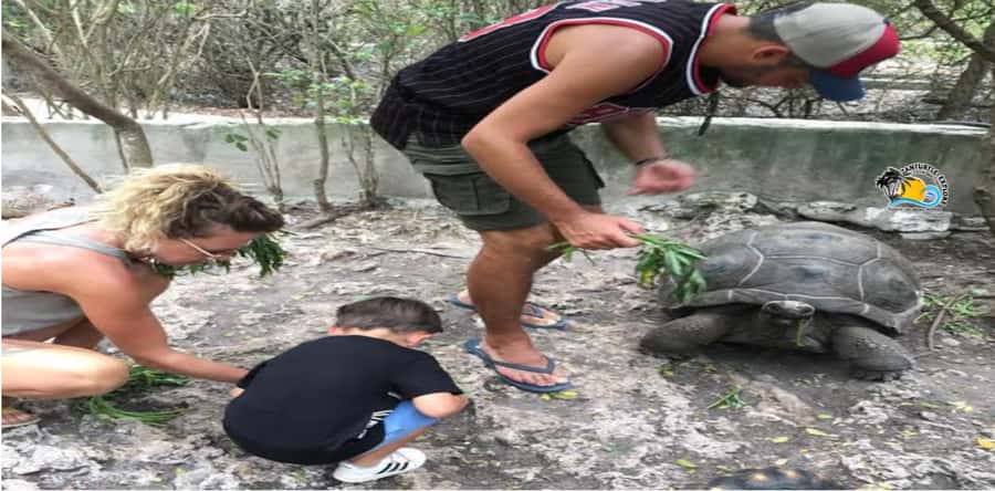 Zanzibar: Nungwi Kilosa Zoo Conservation Tour - Endangered species focus: Zanzibar red colobus and Aders duiker