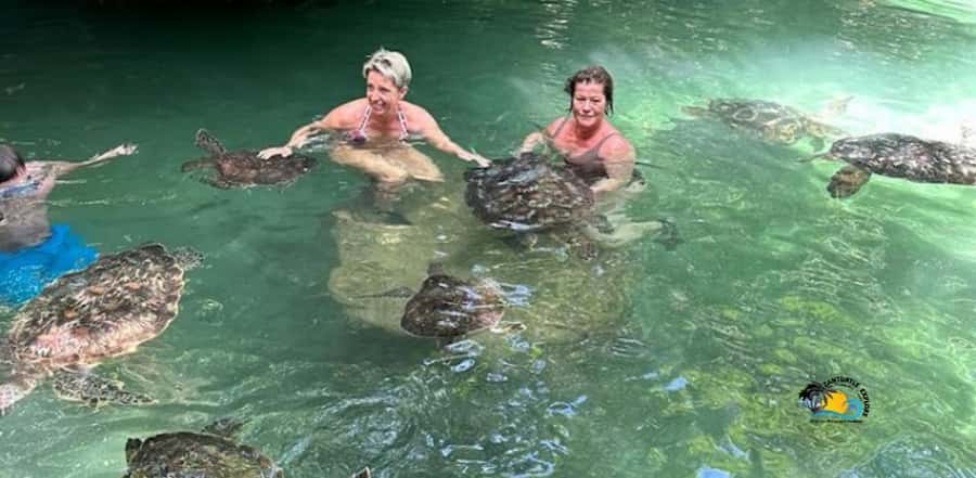 Zanzibar: Nungwi Kilosa Zoo & Swimming with Turtles - How the day trip actually plays out: zoo, snorkel, and time on your schedule