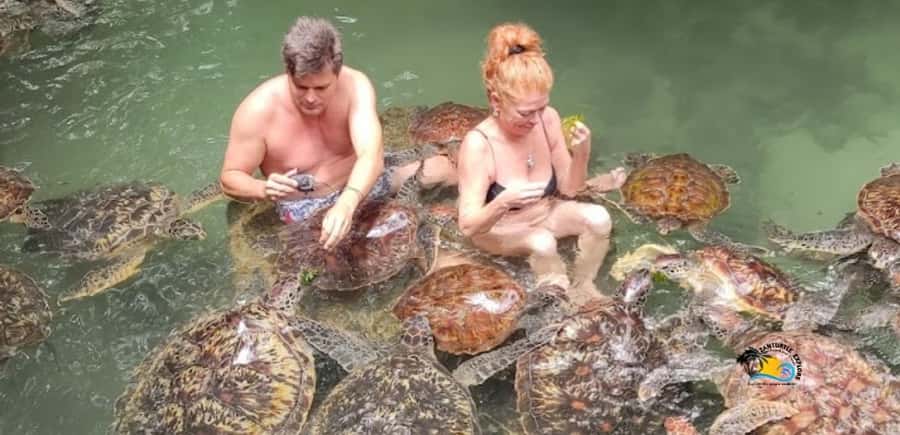Zanzibar: Nungwi Kilosa Zoo & Swimming with Turtles - Nungwi Kilosa Zoo Conservation: what you see and why it matters