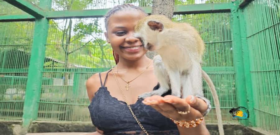 Zanzibar: Nungwi Kilosa Zoo & Swimming with Turtles - Photo chances and scenic moments that do not feel staged