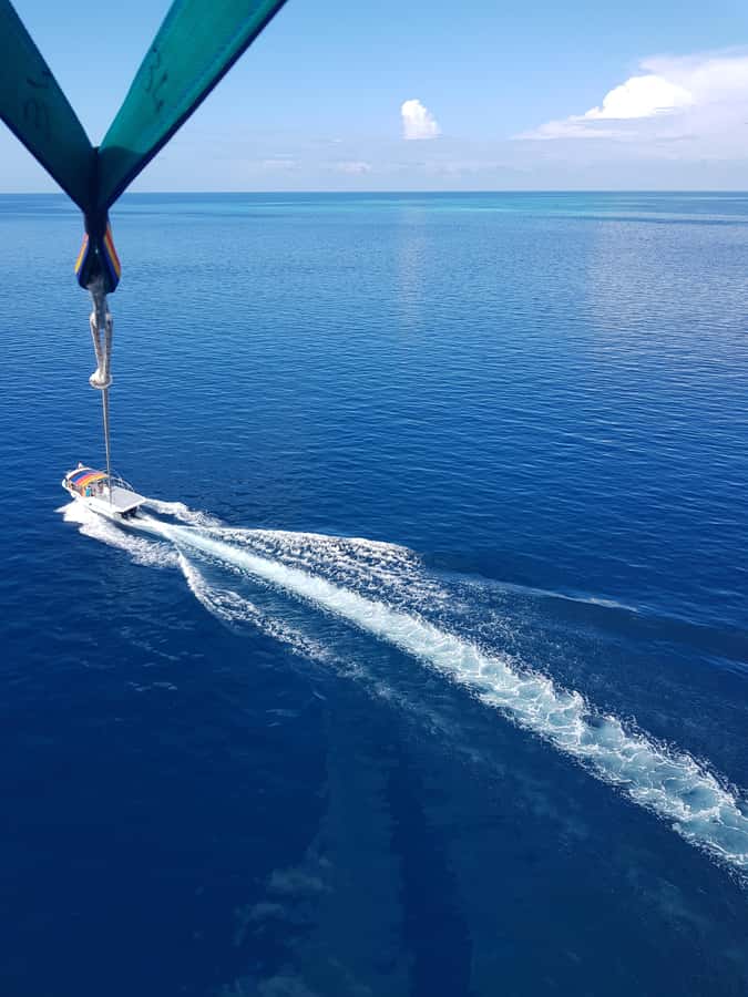 Zanzibar: Parasailing Experience with Instructor - Practical Tips You’ll Be Glad You Follow
