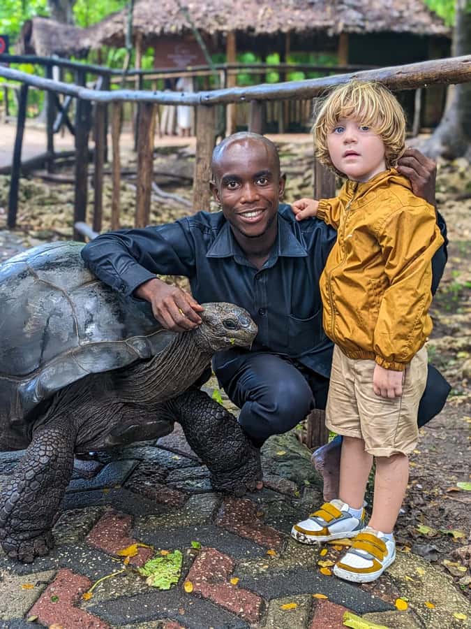 Zanzibar: Prison Island & Giant Tortoises with Pickup - The boat ride to Changuu Island: what you should watch for
