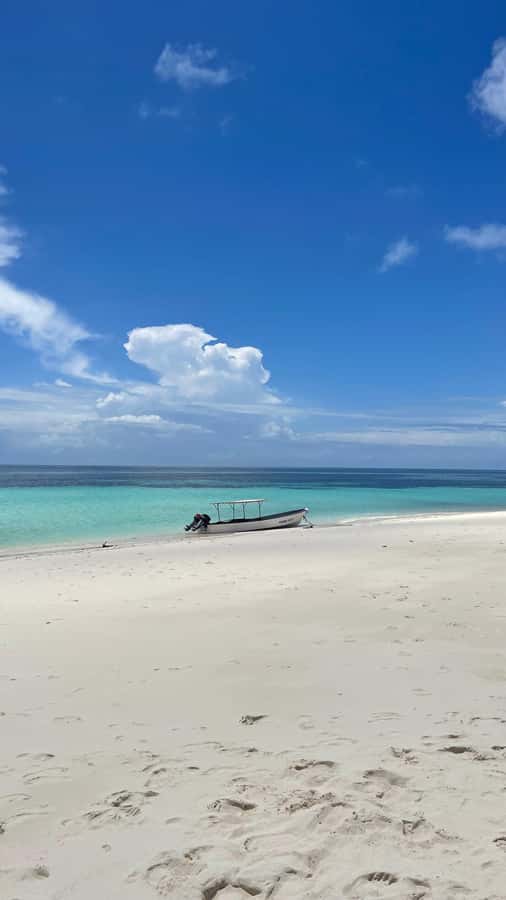 Zanzibar: Prison Island & Giant Tortoises with Pickup - Prison Island’s ruins: history you can actually stand in