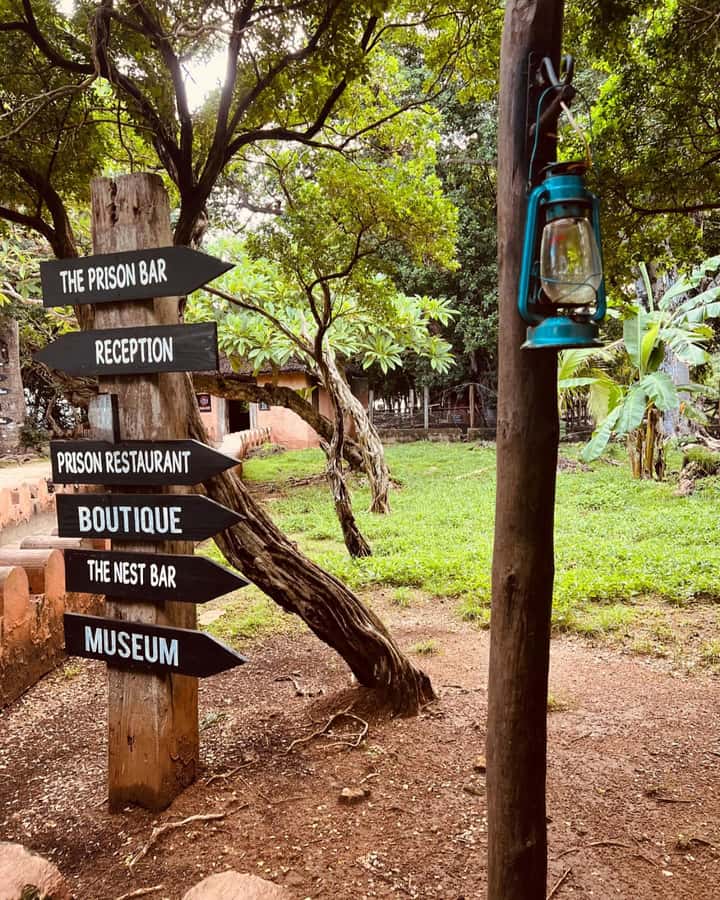 Zanzibar: Prison Island & Giant Tortoises with Pickup - Group size and guide quality: why it can make or break the day