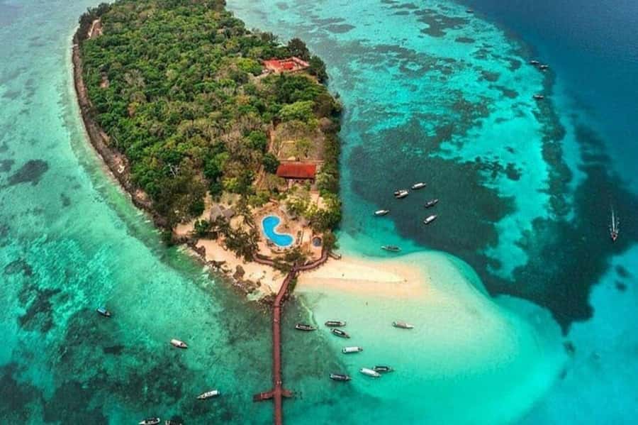 ZANZIBAR: Prison Island, Jozani Forest & SeaTurtle Sanctuary - Key Things That Make This Tour Worth Your Time