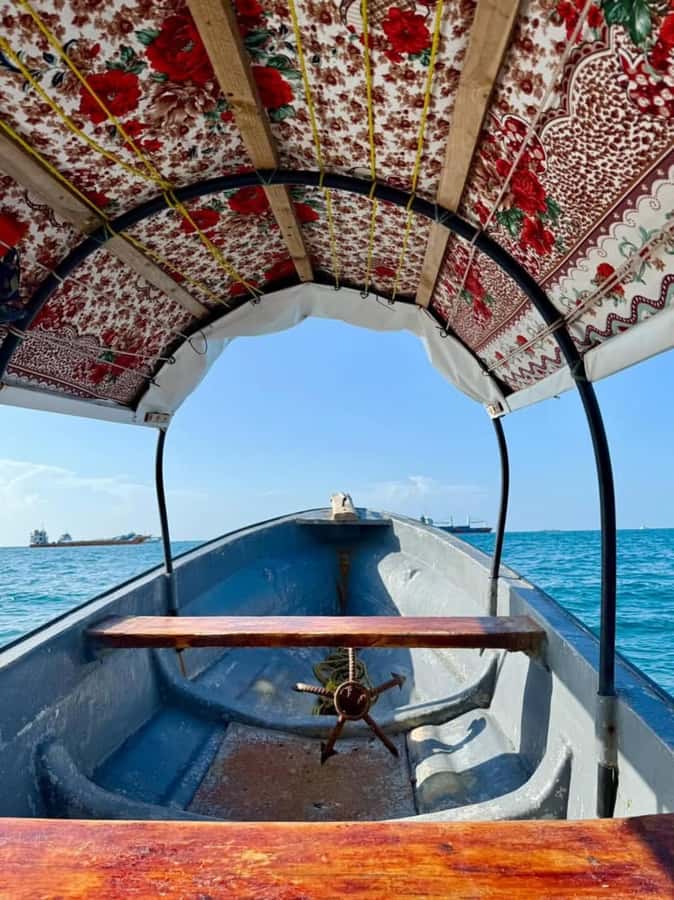 Zanzibar: Prison island & Nakupenda Sandbank Small-GroupTour - Small-group pace: why it feels calmer than the big trips