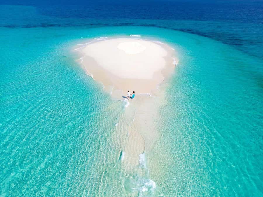Zanzibar: Prison island & Nakupenda Sandbank Small-GroupTour - Price and value: the $45 question, answered honestly