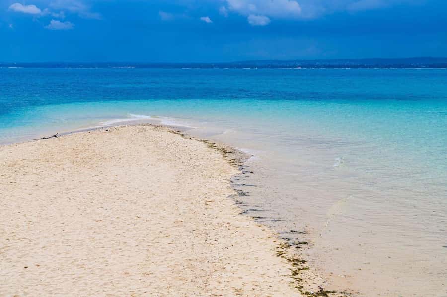 Zanzibar; Prison Island, Nakupenda, StoneTown Tour with BBQ - A packed west-coast day: Prison Island, Nakupenda Sandbank, Stone Town