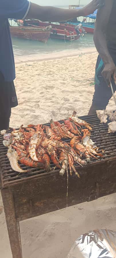 Zanzibar; Prison Island, Nakupenda, StoneTown Tour with BBQ - The boat-and-day logistics that make or break it