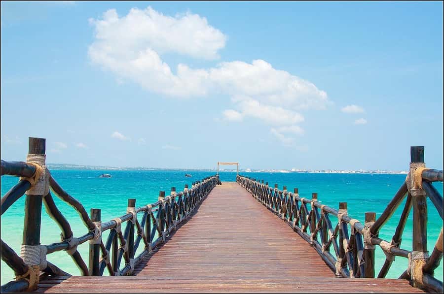 Zanzibar: Prison island Private half day tour - What happens on Prison Island during the guided island visit
