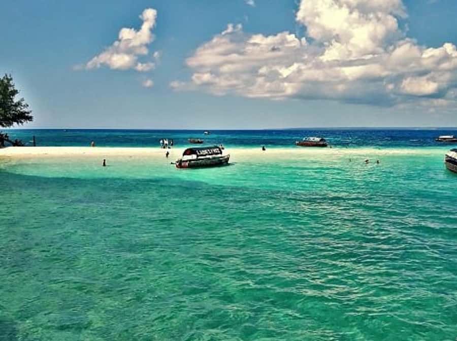 Zanzibar: Prison island Private half day tour - Price and value: $52 plus entry tickets