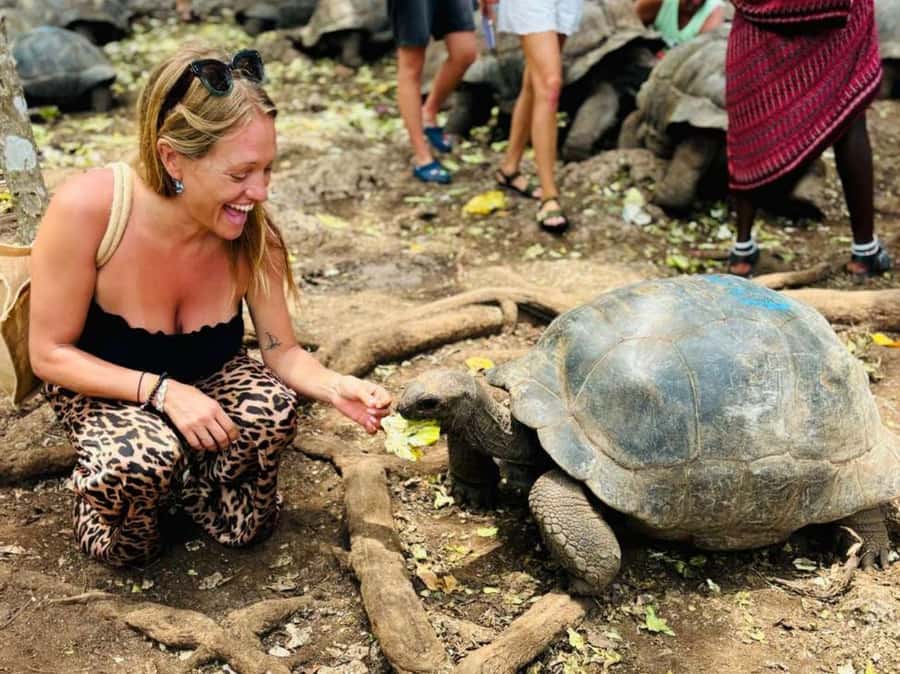 Zanzibar: Prison island, Sea Turtle Sanctuary + Mtende Beach - Who this tour suits best, and who might want a different plan