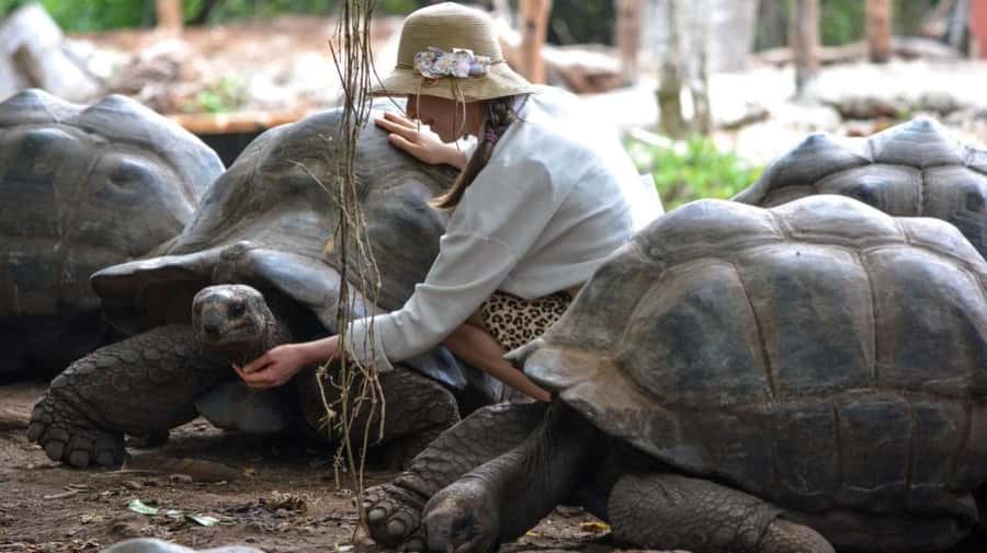 Zanzibar: Prison island, Sea Turtle Sanctuary + Mtende Beach - What to bring so the day feels easy