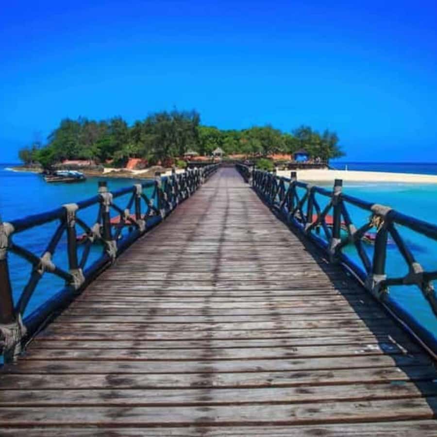 ZANZIBAR: Prison Island, Spice Farm Visit & Turtle Swim Tour - Why Prison Island and Salaam Cave Pair So Well