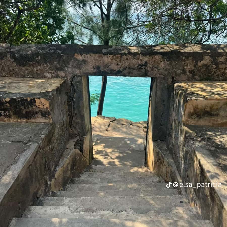 ZANZIBAR: Prison Island, Spice Farm Visit & Turtle Swim Tour - Prison Island, Changuu: Tortoises, Guided Time, and Beach Breaks
