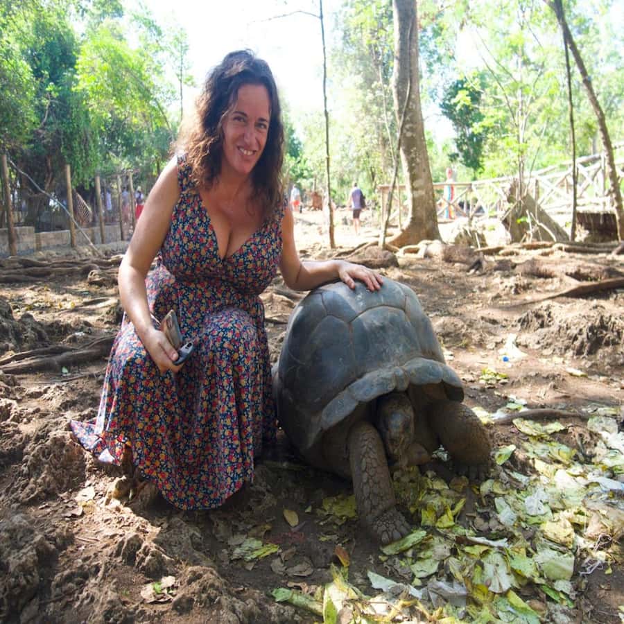 ZANZIBAR: Prison Island, Spice Farm Visit & Turtle Swim Tour - Value Check: Is $98 a Good Deal for This Mix?