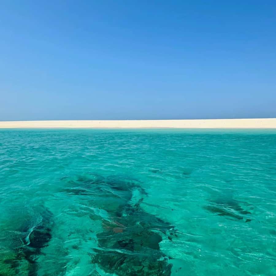 ZANZIBAR: Prison Island, Spice Farm Visit & Turtle Swim Tour - Good Fit vs. Not-Perfect Fit