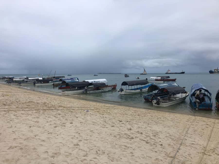 Zanzibar: Prison Island, Stone Town, & Spice Farm Tour - Hotel Pickup, Air-Conditioned Drives, and the Boat Ride to Changuu Island