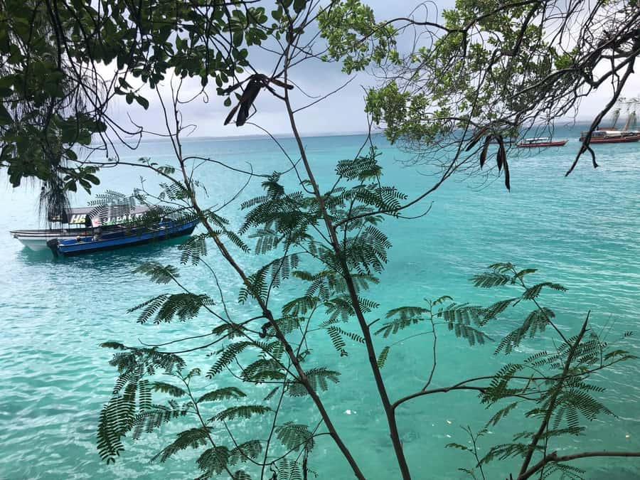 Zanzibar: Prison Island, Stone Town, & Spice Farm Tour - Guides Like Abdul, Isaak, Feisal, and More: Why This Tour Works Better Than DIY