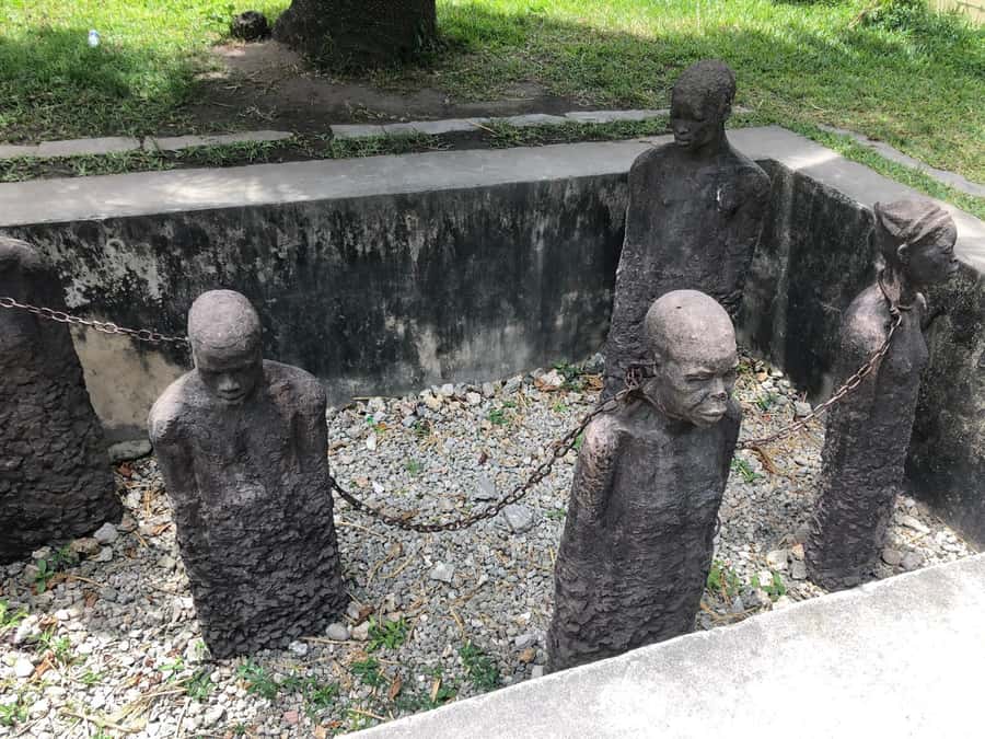 Zanzibar: Prison Island, Stone Town, & Spice Farm Tour - Value at $70: What You Get, What It Replaces, and When DIY Could Win